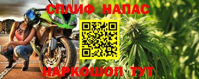 СК Пугачёв