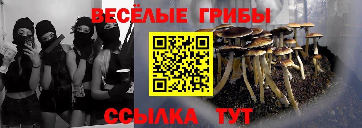 Псилоцибиновые грибы мицелий Ростов-на-Дону
